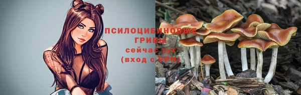 соль курить ск Надым