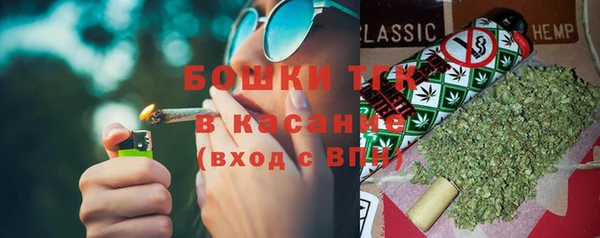 индика Михайловка