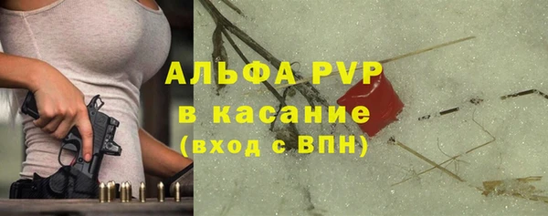 индика Михайловка