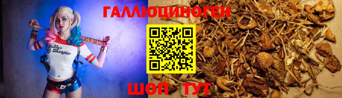 Галлюциногенные грибы GOLDEN TEACHER  Комсомольск-на-Амуре 